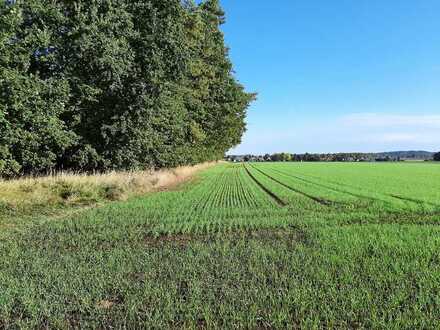 Landwirtschaftliche Fläche Nürnberg-Worzeldorf