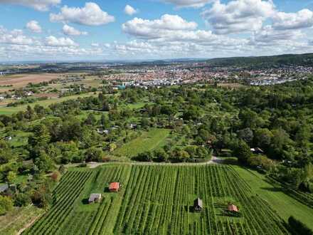 Secret Sale - Eine Rarität, Baugrundstück mit Haus in einer herrlichen Aussichtslage von Gerlingen