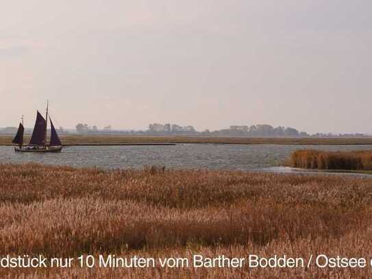 Unbebautes Grundstück nur 10 Min vom Barther Bodden