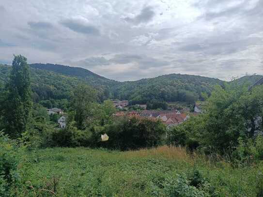 Schöner Südhang-Bauplatz mit herrlichem Ausblick