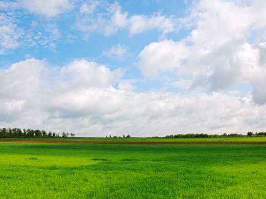 Großzügiges Baugrundstück in ruhiger Lage