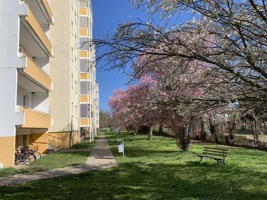 Sie sind Single? Azubi? Student? Dann ist diese Wohnung mit Balkon genau richtig