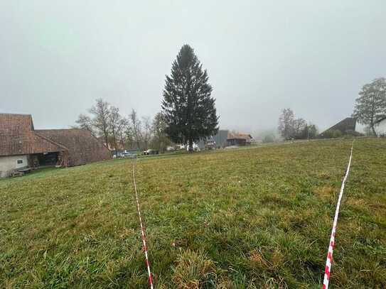 Traumhaftes Grundstück für Naturliebhaber 2/2