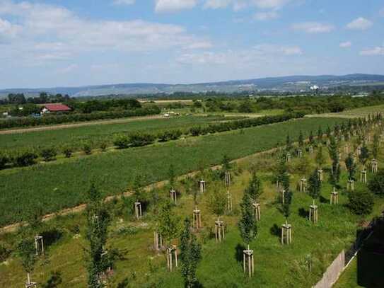 485 m² Baugrundstück in idyllischer Feldrandlage mit traumhaftem Blick zum Kauf in Gau-Algesheim