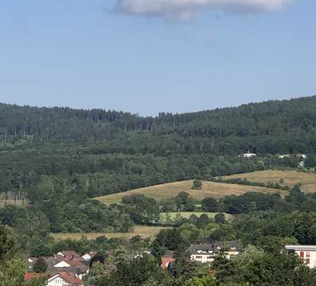 Gemütliche 3-Zi-Whg. mit Balkon und wunderschönem Ausblick