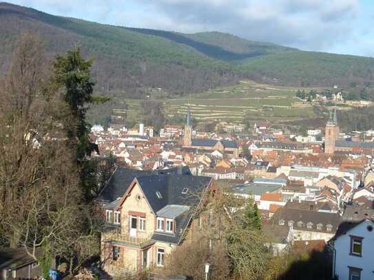 Panorama-Blick über Neustadt: 1,5 Zimmer-Wohnung mit EBK, Loggia und Tiefgarage