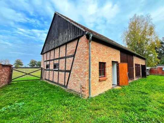 Top für landwirtschaftlicher Nutzung, Pferdekoppel und Ausbau eines Wohnhauses Neulewin im Oderbruch