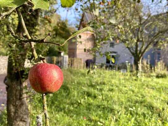Wohnen im Quittenhof!