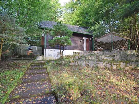 Großes Grundstück im Wald mit Ferienhaus für Naturliebhaber - aber auch als Vereinsheim ideal gee...