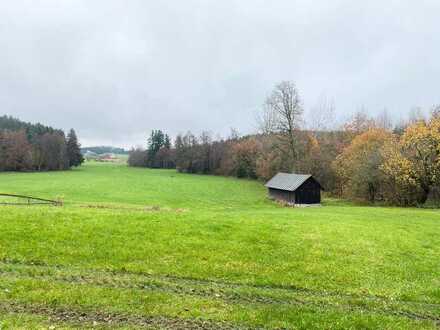 Landwirtschaftliches Grundstück mit 28.838 m² in 88239 Niederwangen