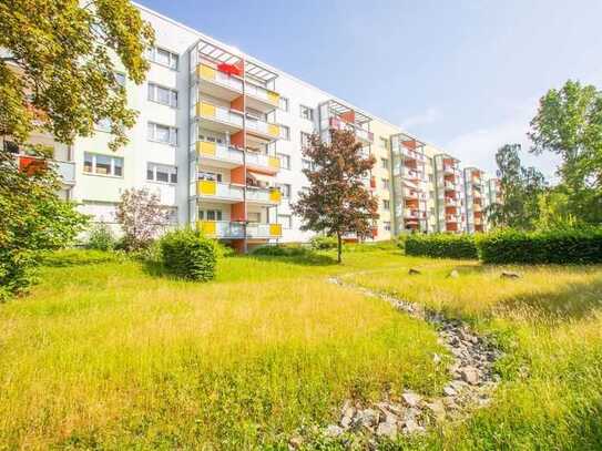 In der Herrichtung! 2 Räume im schönen Süden mit Balkon.