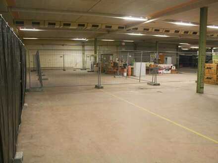 Hallen-Lagerflächen ab 50qm bis 500qm