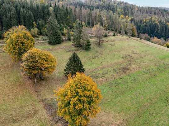 Landwirtschaftsfläche im im Thüringer Wald