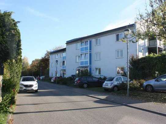 Schöne 5-Zi-Wohnung mit Terrasse und Garten / Energieeffizient, ideal geschnitten, Blick auf Burg