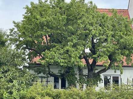 Freising / Lerchenfeld - 
ein Nest für ihre Familie