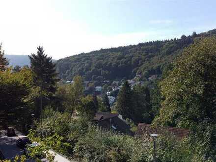Die Gelegenheit: Hanggrundstück mit Baugenehmigung für ein geplantes Haus in Heidelberg!