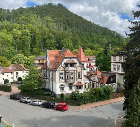 Charmante Dachgeschoss-Wohnung in Bad Harzburg! 5 Zimmer, Wintergarten, Balkon, Tiefgarage