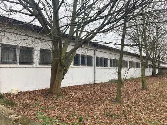 Gewerbehalle in zentraler Lage von Wildau zu vermieten