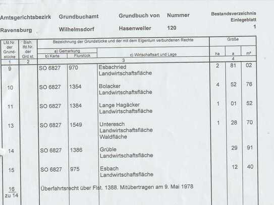 Acherland und Wiesen zu verkaufen