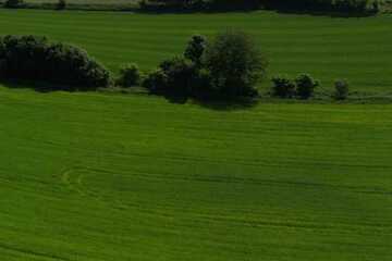 ca. 5,6 ha landw. Fläche/Acker im Rottal