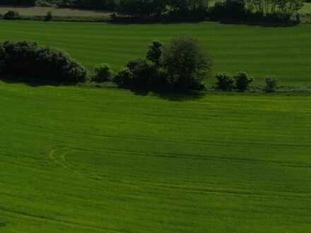 ca. 5,6 ha landw. Fläche/Acker im Rottal