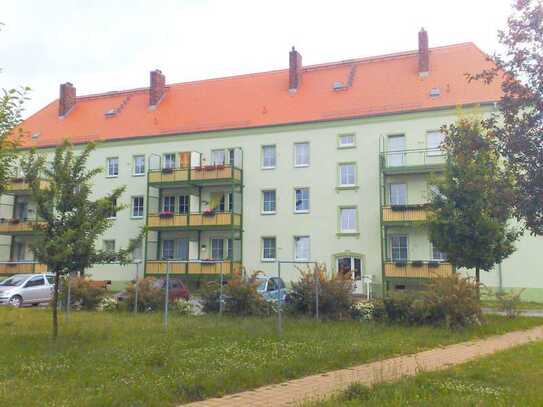 ***schöne Erdgeschosswohnung mit Balkon, EB-Stadt***