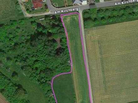 5000 m² Ackerland in Ortsrandlage!