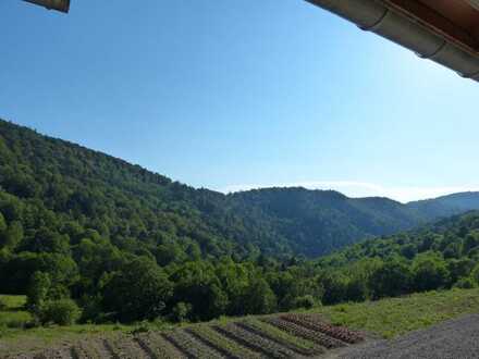 Berghof im Elsass. Gemeinschaftliches Wohnen in funkarmer Umgebung. Ökologischer Neubau.