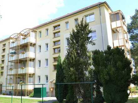 große 3-Raum-Wohnung mit Balkon im Grünen zu vermieten