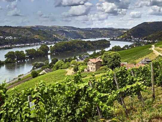 Schönes Hotel/Restaurant in Rheingau Nahe Rhein