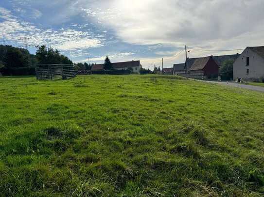 Hier haben Sie viel Platz um Ihr Traumhaus in dörflicher Idylle zu bauen!