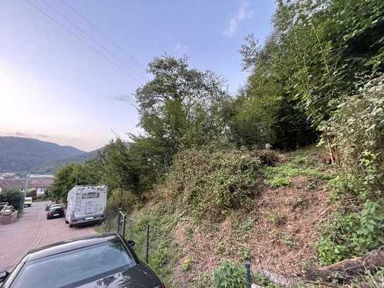 Schönes Hangrundstück in ruhiger Lage von Lambrecht zu verkaufen