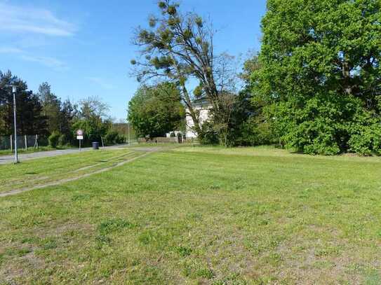 Traumgrundstück in Torgelow – Waldsiedlung