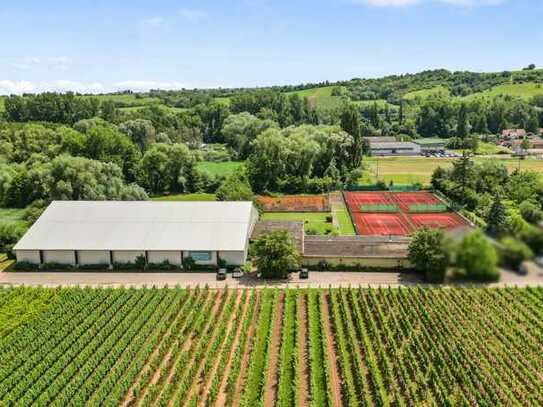 12.597 m² Sport- und Freizeitgelände mit Halle in Siebeldingen!