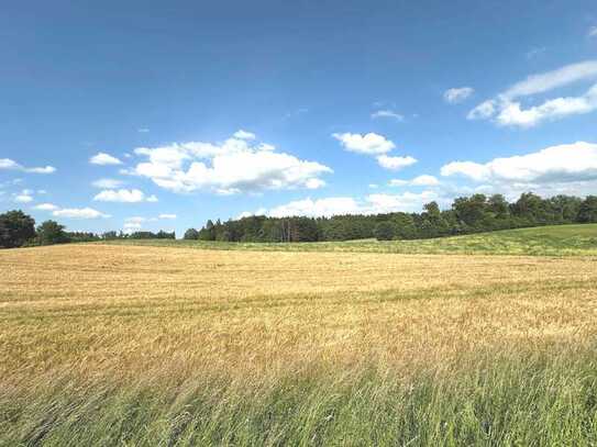 4 Hektar attraktives Ackerland und Grünflächen