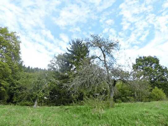 **Naturnah Leben** Großes Baugrundstück in Südwest-Hanglage