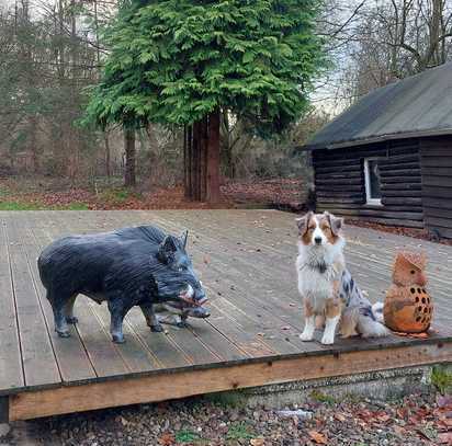 Seltene Gelegenheit: Ideal für ein Paar mit Hund