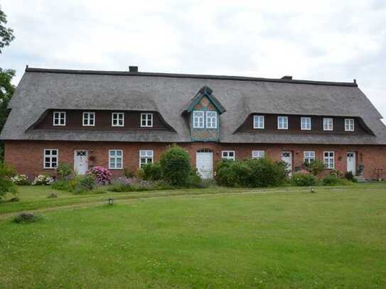 Reetdach-Reihenhaus mit Charme, Kamin, Terrasse und offenem Garten als Alterswohnsitz bei Dassow