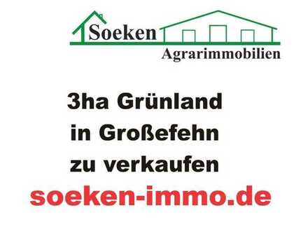 Grünland in Großefehn-Akelsbarg zu verkaufen. HF2401