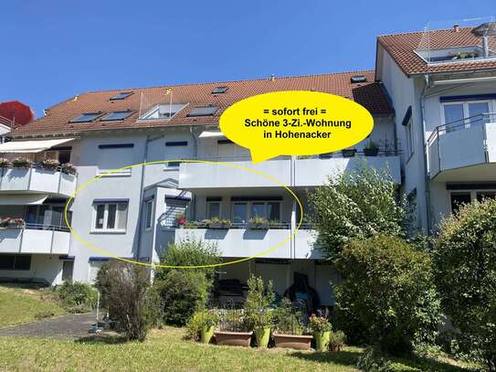 3-Zimmer-Wohnung mit Südbalkon = sofort frei =