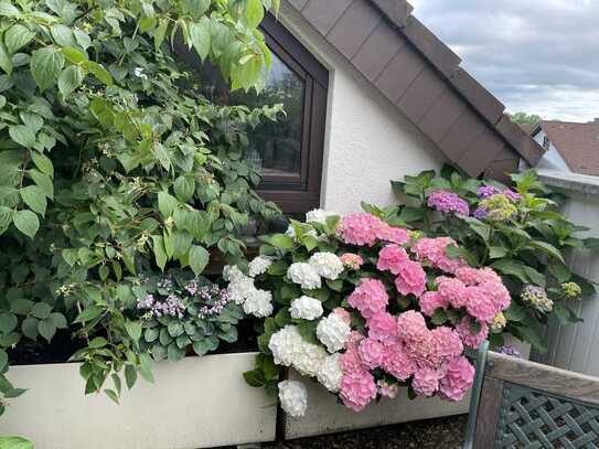 Ein Träumchen!♥️lich Willkommen zu dieser attraktiven Wohnung mit Sauna und herrlicher Dachterrasse.