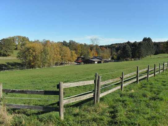 Landwirtschaftliche Hofstelle/Reiterhof in Alleinlage mit großer Teichanlage