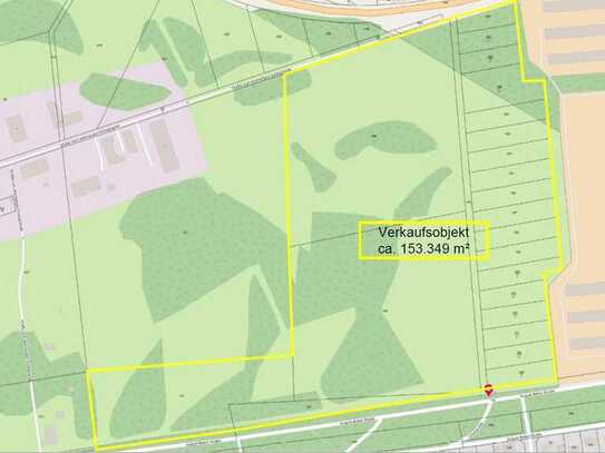 Waldgrundstück im gewerblichen Umfeld mit Entwicklungspotenzial