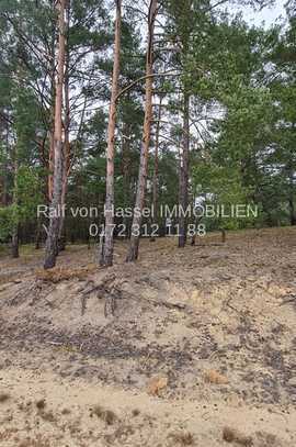 VERKAUF IM BIETERVERFAHREN: Waldgrundstück in Hartmanndorf bei Spreenhagen