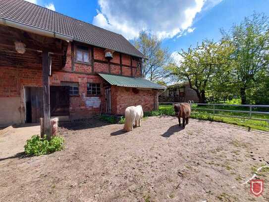 Perfekte Gelegenheit: Bauernhof für Selbstversorger / Resthof für Tierfreunde