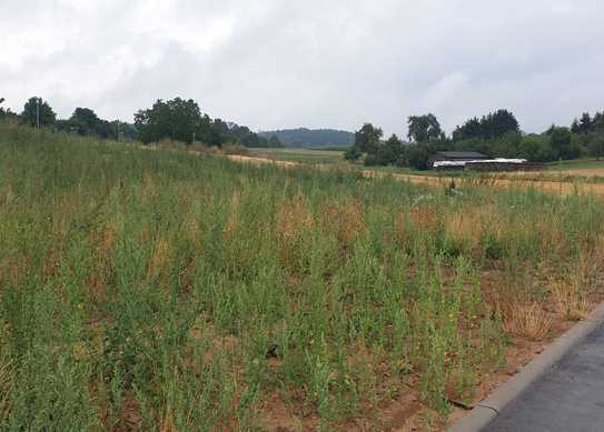 rel. ebener Bauplatz für Neubau ohne Keller