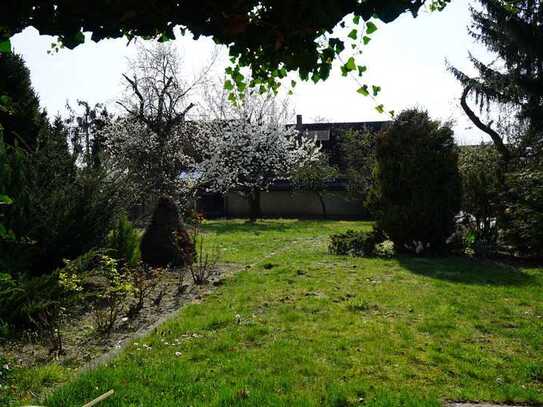 Für Gartenfreunde: 3,5-Zimmer-Einfamilienhaus - frisch renoviert, ruhige schöne Lage in Stahnsdorf
