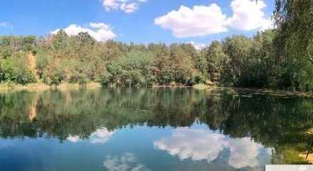 IMMOBERLIN.DE - Wasserzugang! Drei Ferienhäuser und ein Saunahaus am Waldsee