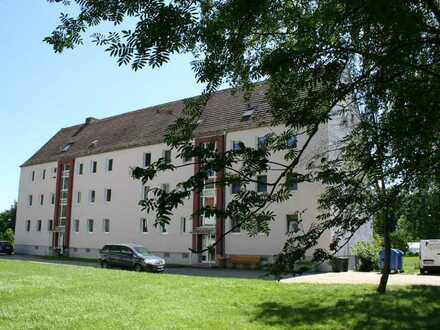 Geräumige 4-Raum-Wohnung in Naundorf OT Hof
