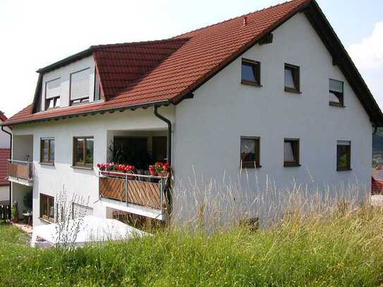 im Jagsttal: Schöntal-Marlach: Schicke 3 Zimmer-Whg - Einbauküche - Tolle Aussicht